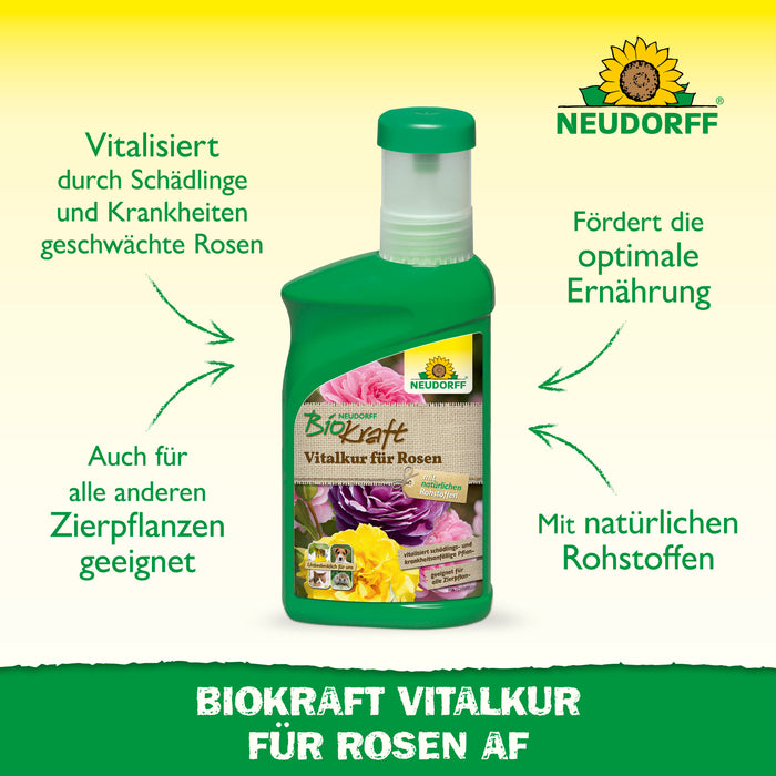 Neudorff BioKraft Vitalkur für Orchideen AF