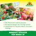 Neudorff BioKraft Vitalkur für Orchideen AF