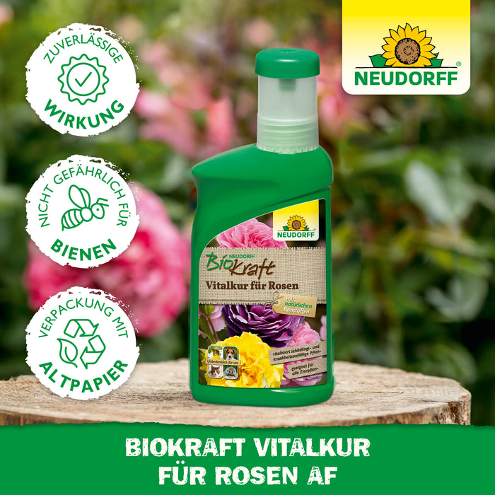 Neudorff BioKraft Vitalkur für Orchideen AF