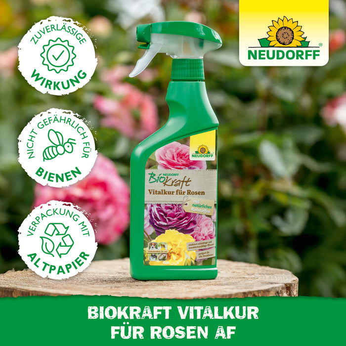 Neudorff BioKraft Vitalkur für Rosen