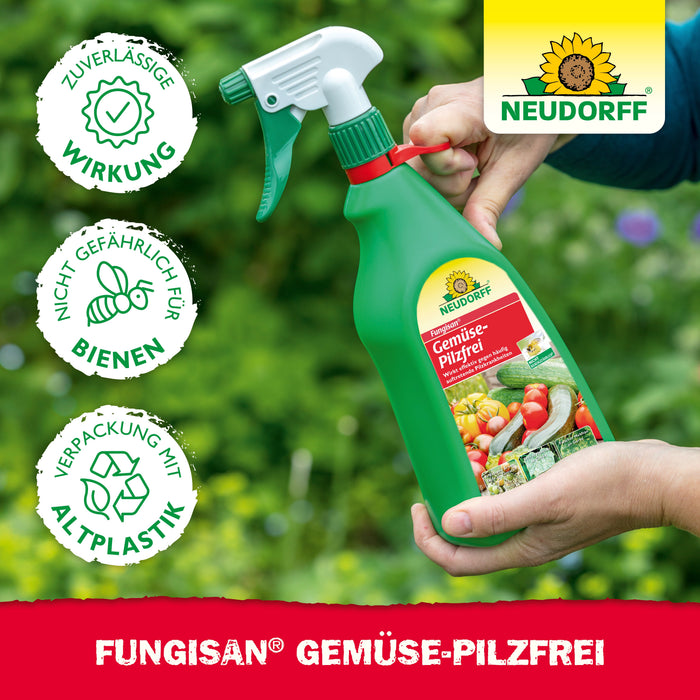 Neudorff Fungisan Gemüse-Pilzfrei - Silberkraft