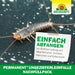 Neudorff Permanent UngezieferLeimFalle Nachfüllpack - Silberkraft