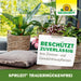 Neudorff Spruzit Trauermückenfrei - Silberkraft