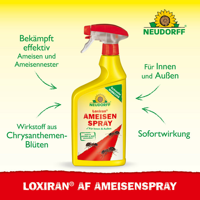 Neudorff Loxiran AF AmeisenSpray - Silberkraft