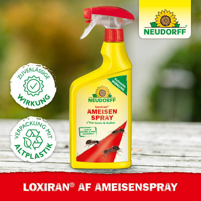 Neudorff Loxiran AF AmeisenSpray - Silberkraft