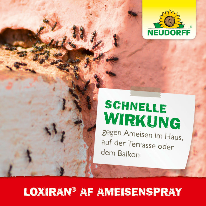 Neudorff Loxiran AF AmeisenSpray - Silberkraft