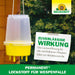Neudorff Permanent Lockstoff WespenFalle - Silberkraft