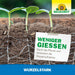 Neudorff Wurzelstark - Silberkraft