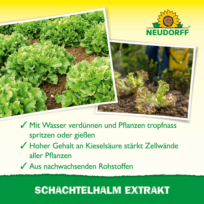 Neudorff Schachtelhalm Extrakt - Silberkraft