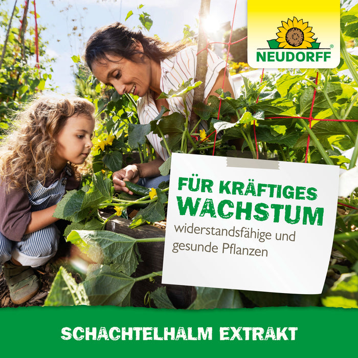 Neudorff Schachtelhalm Extrakt - Silberkraft