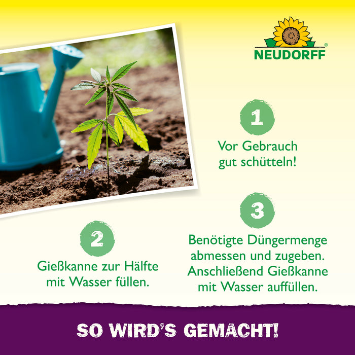 Neudorff Azet GrowDünger - Silberkraft