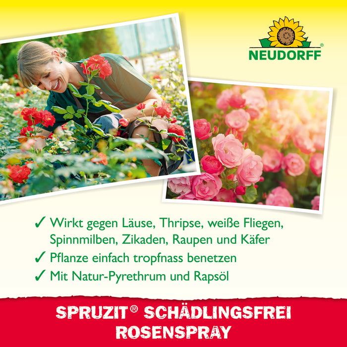Spruzit TrauermückenFrei