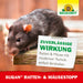 Neudorff Sugan Ratten- und MäuseStopp - Silberkraft