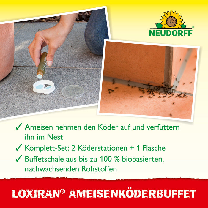 Neudorff Loxiran Ameisenköderbuffet - Silberkraft