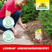 Neudorff Loxiran Ameisenköderbuffet - Silberkraft
