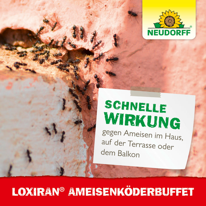 Neudorff Loxiran Ameisenköderbuffet - Silberkraft