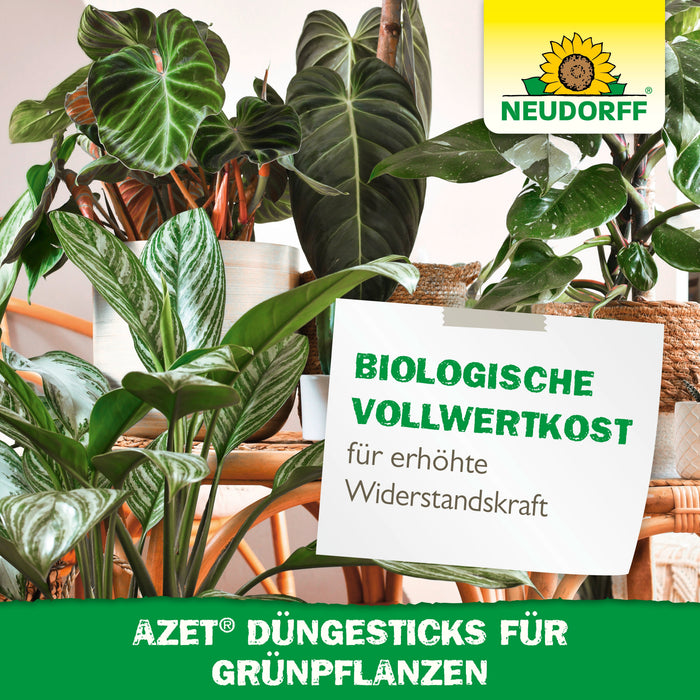 Neudorff Azet DüngeSticks für Grünpflanz - Silberkraft
