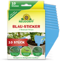 Neudorff Blau-Sticker