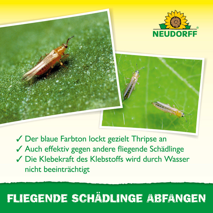 Neudorff Blau-Sticker - Silberkraft