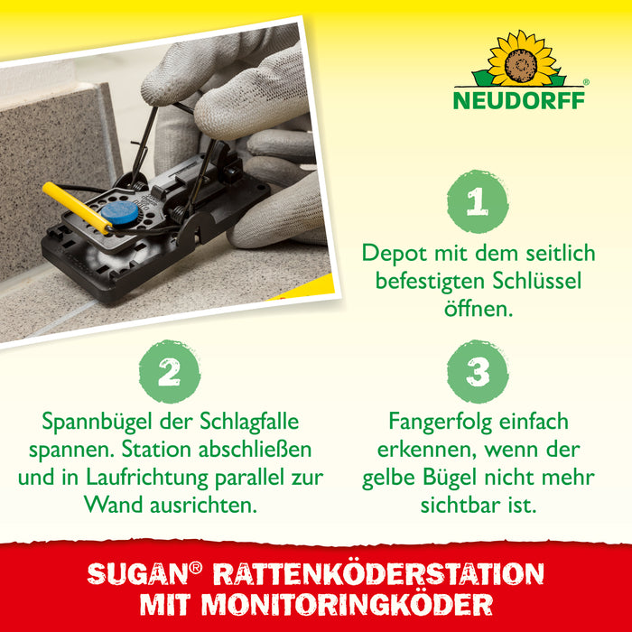 TeakPflegeÖl