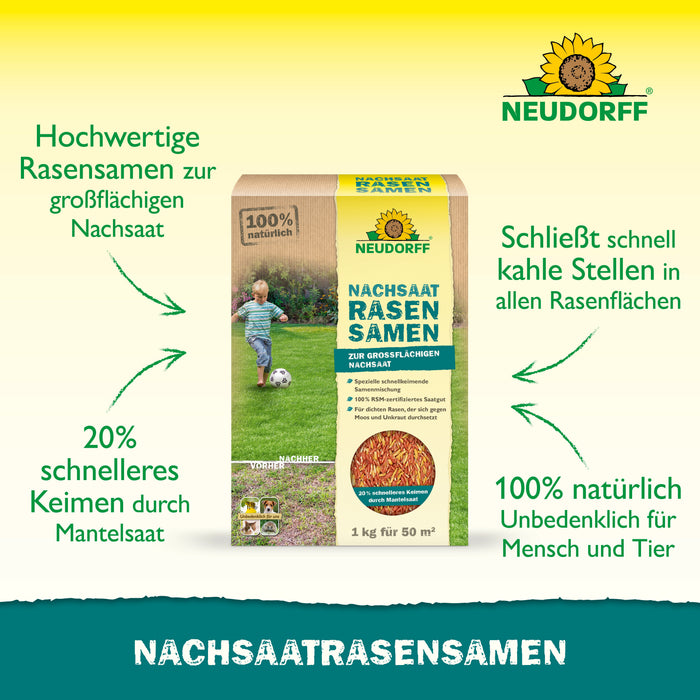 NachsaatRasenSamen