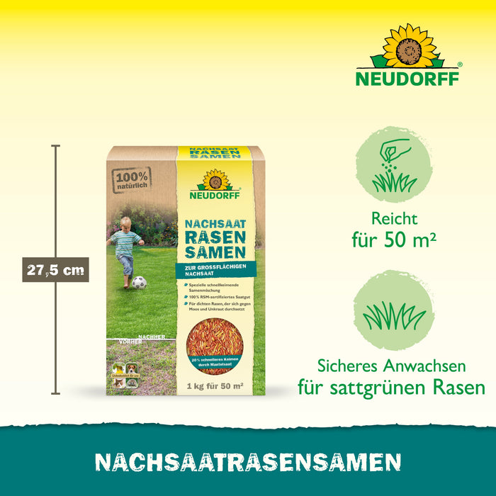 NachsaatRasenSamen