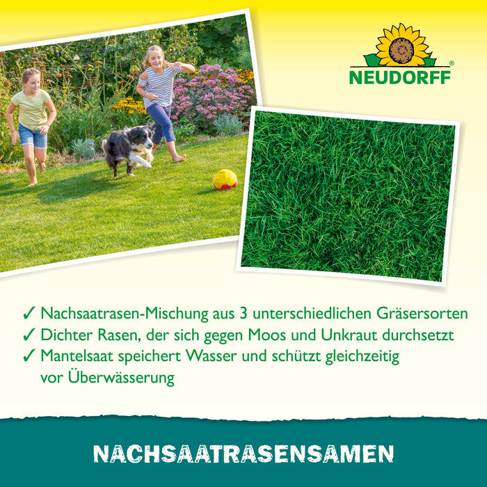 NachsaatRasenSamen