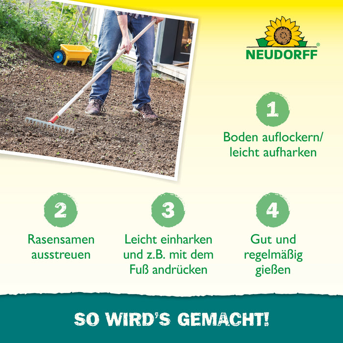 NachsaatRasenSamen