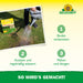 Neudorff TerraVital RasenSanierer - Silberkraft