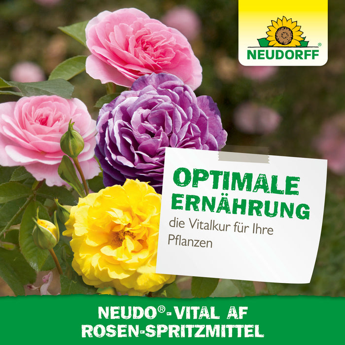 Neudorff Neudo-Vital AF Rosen-Spritzmittel - Silberkraft