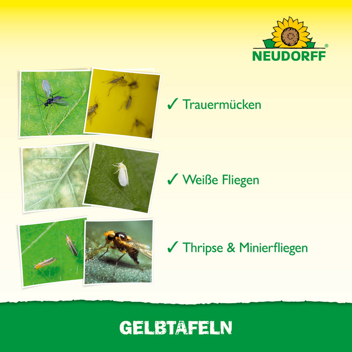 Neudorff Gelbtafeln (großformatig) - Silberkraft