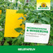 Neudorff Gelbtafeln (großformatig) - Silberkraft