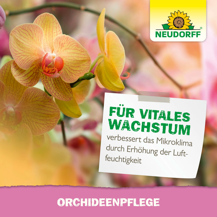 Neudorff OrchideenPflege - Silberkraft