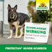 Neudorff Protectan Hunde-Schreck - Silberkraft