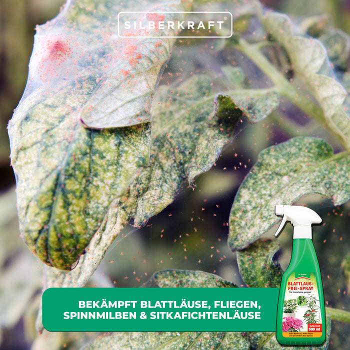 Blattlausfrei-Spray: Effektiver Schutz für Obst, Gemüse & Zierpflanzen - Silberkraft