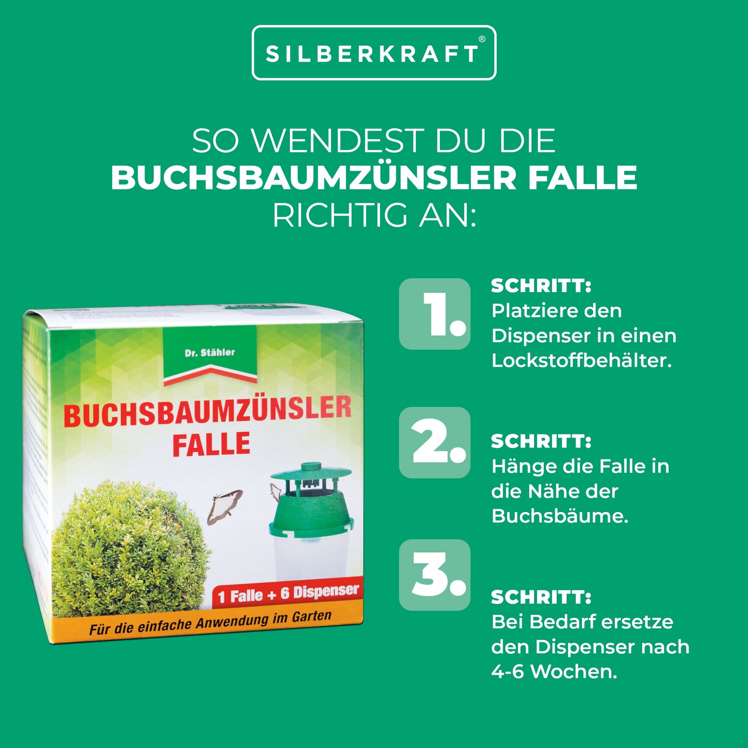 Buchsbaumzünsler-Falle: Rechtzeitige Befallserkennung und zuverlässige Schädlingsüberwachung - Silberkraft