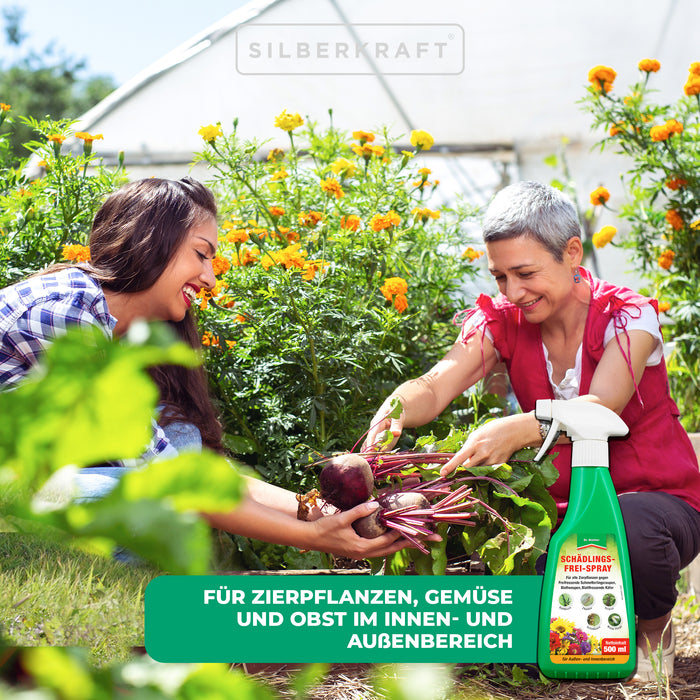 Schädlingsfrei-Spray für eine geschützte Pflanzenumgebung ohne Milben und Blattläuse - Silberkraft