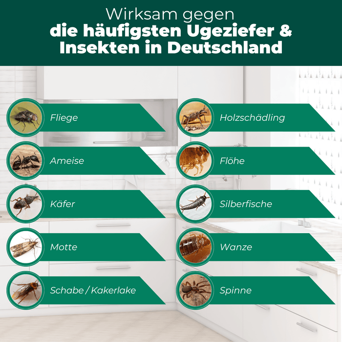 Ungeziefer/ Insektenfalle mit Spezial-Lockstoff - Silberkraft