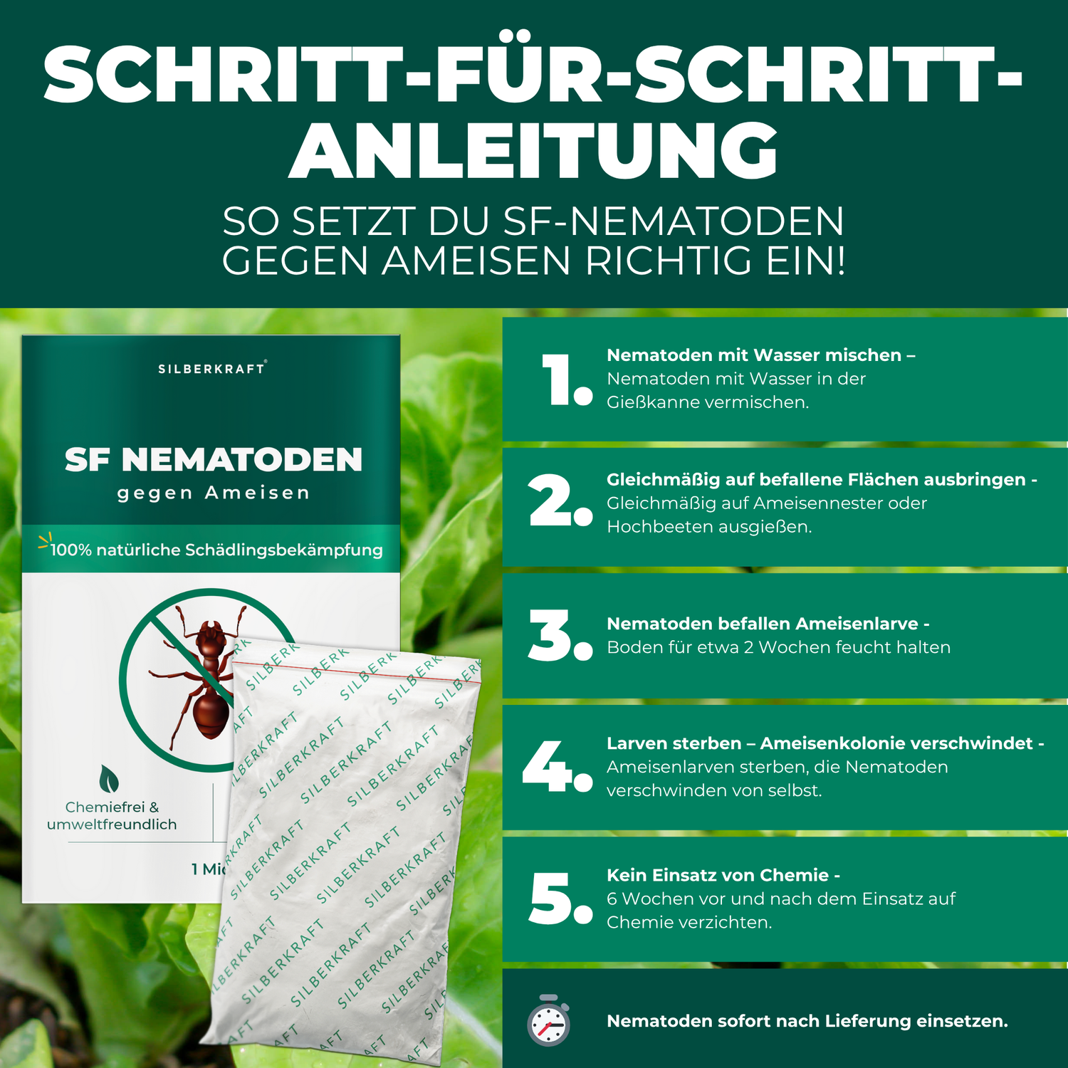 SF Nematoden gegen Ameisen - Silberkraft