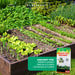 Unkraut-Frei Organic: Sprühmittel zur Unkrautbekämpfung für eine makellose Gartenlandschaft - Silberkraft