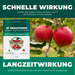 SF Nematoden gegen Apfelwickler - Silberkraft