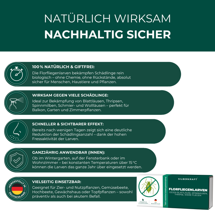 Florfliegenlarven gegen Blattläuse, Spinnmilben, Thripse, weiße Fliegen - Silberkraft