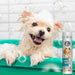 Sensitive Shampoo - Hundeshampoo für Welpen - Silberkraft