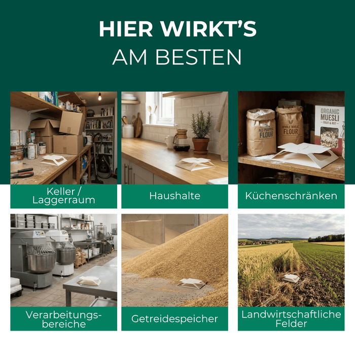 Ungeziefer/ Insektenfalle mit Spezial-Lockstoff - Silberkraft