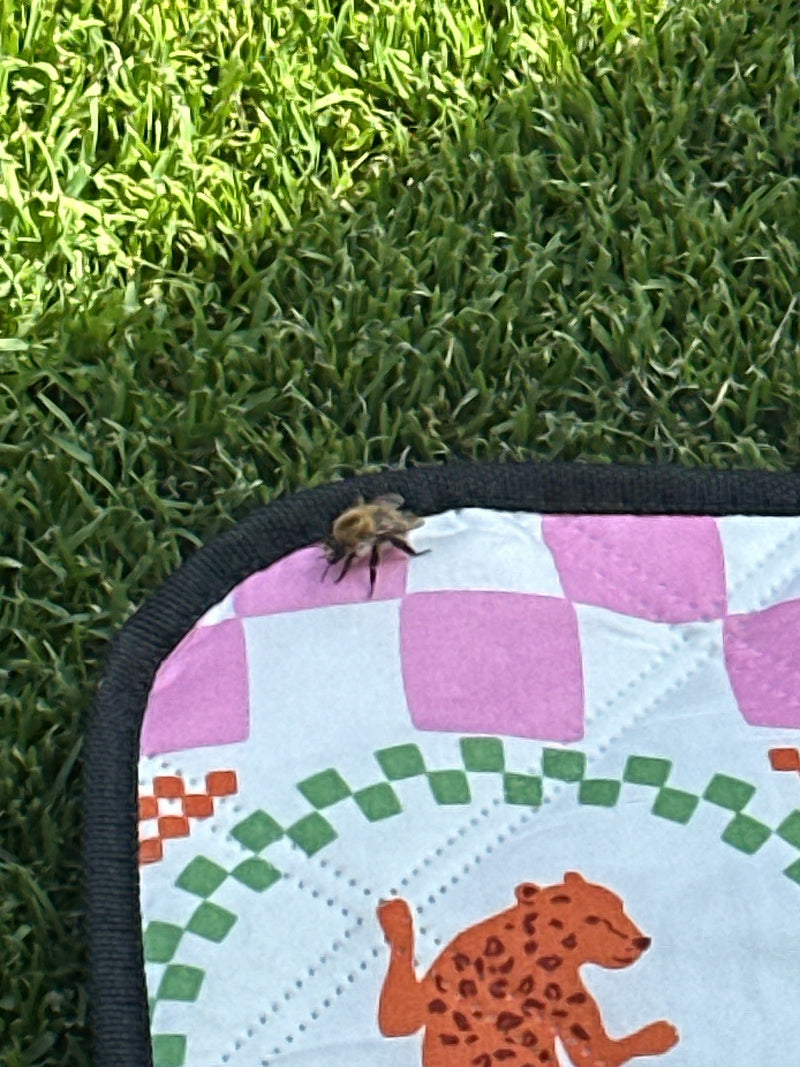 Ackerhummel — Bild 5
