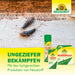 Neudorff Permanent FruchtfliegenFalle - Silberkraft
