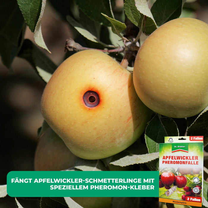Apfelwickler Pheromonfalle: Effektiver Schutz für Obstbäume - Silberkraft