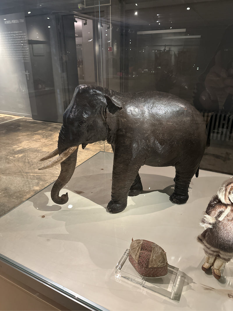 Asiatischer Elefant — Bild 3