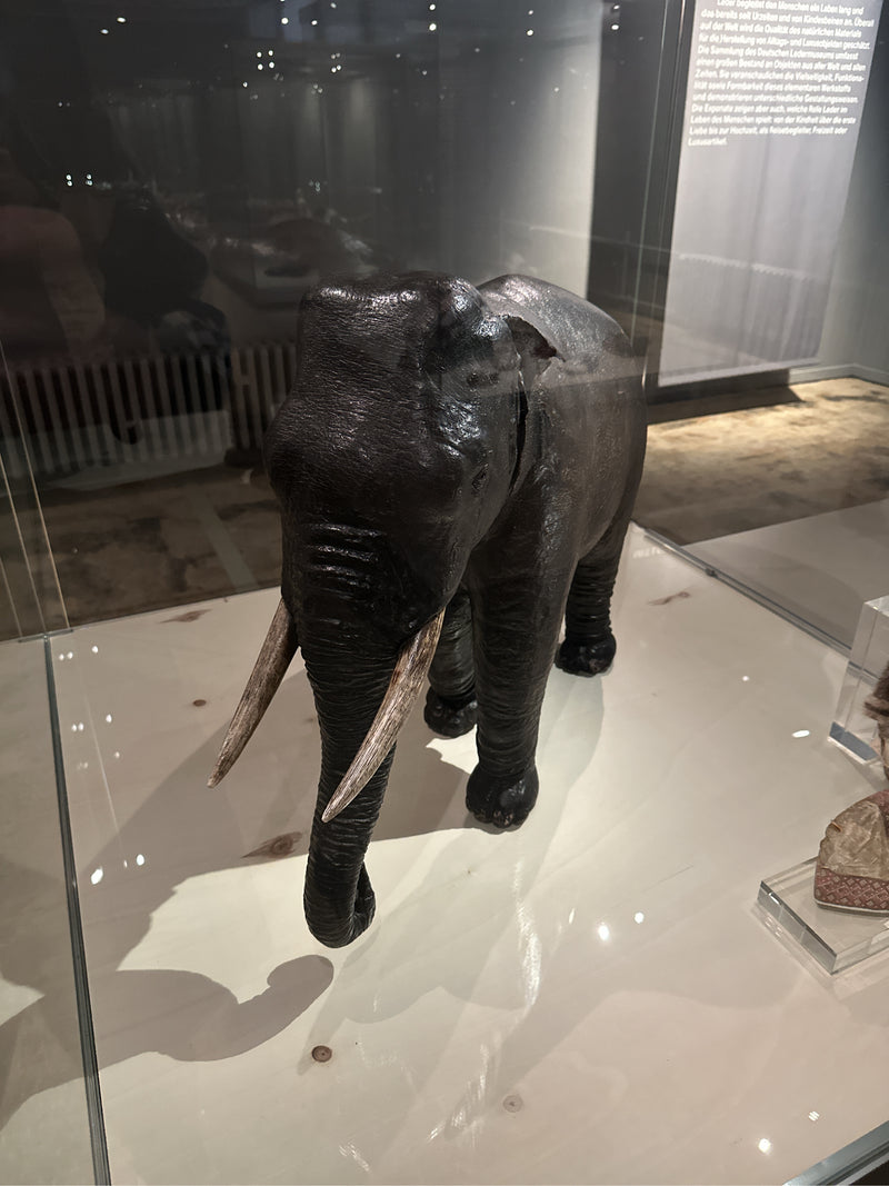 Asiatischer Elefant — Bild 5