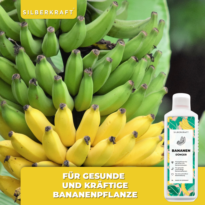 Bananendünger - Mineralischer NPK Flüssigdünger mit Stickstoff - Dünger für Bananen - Silberkraft